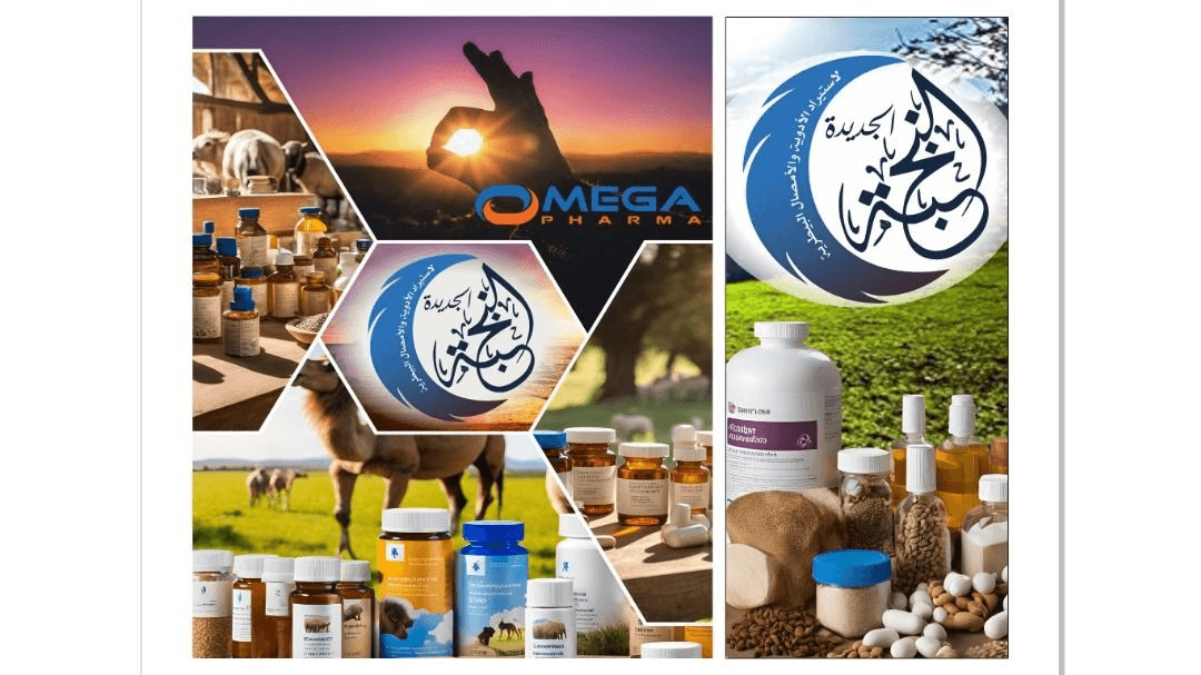 عن شركة النخبة
